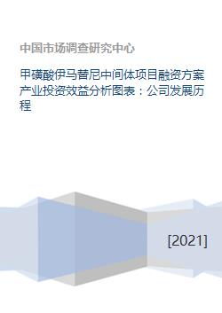 甲磺酸伊马替尼中间体项目融资方案产业投资效益分析图表 公司发展历程